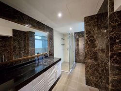 Dunearn Road (D11), Condominium #592758181